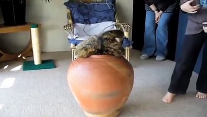 Audition For Fun by Amita Motion Positive Club! (Ep.1)