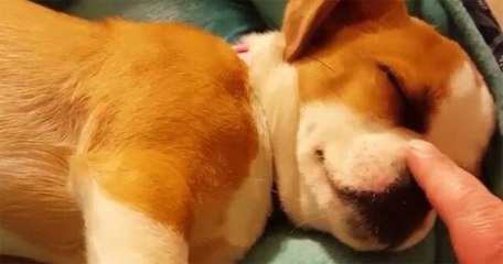 Quit it mom, I'm trying to sleep!