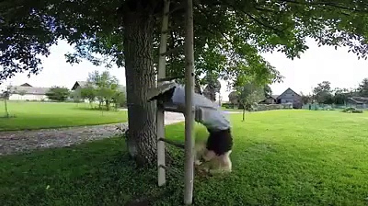 Thug Life top video
