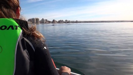 Kayak levantado por ballena en Puerto Madryn, Patagonia Argentina!