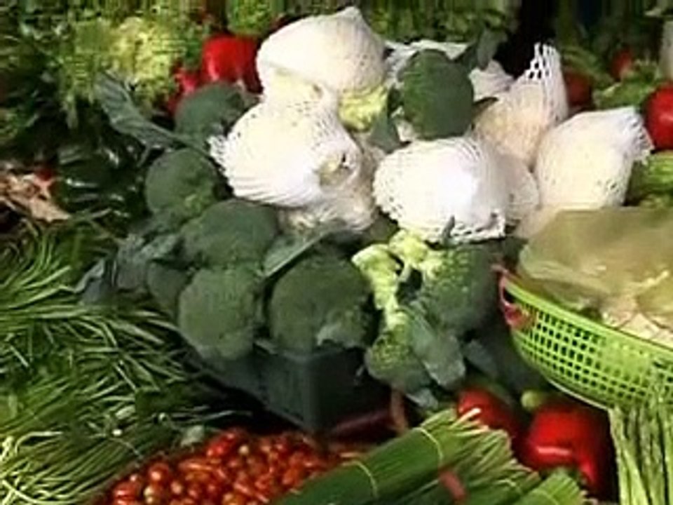 Show 248: Hazardous chemicals in fruit and vegetables & Dengue Fever (English Subtitle)