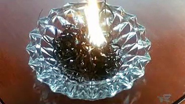 간석오피【유흥다이소】 ∇ udaiso01.com ▷ 오산오피 당진오피 주안오피