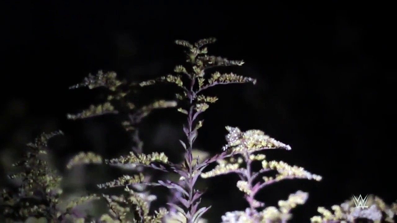 Bray Wyatt and the man in the woods: Superstar Ghost Stories