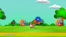 KZKCARTOON TV-Learn English Birds Names- 3d animation - Nursery Rhymes - Kids Rhymes - 3d Rhymes - for Children