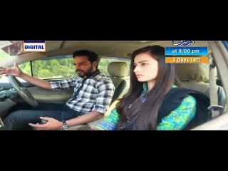 Paiwand Last Episode 27 P4