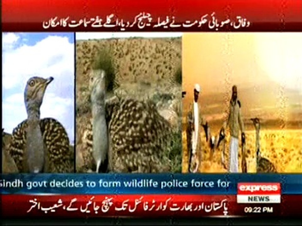 Talor Hunting by Arab Princess in Pakistan