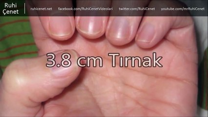 İnsan Vücudu 1 Yılda Ne Kadar Atık Oluşturur?