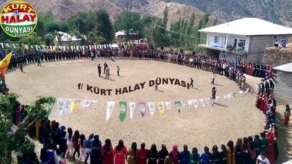 YOK BÖYLE Bİ DÜĞÜN izleyin