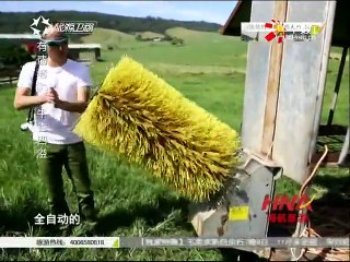 20151114 行者   有请老大：牛香四溢