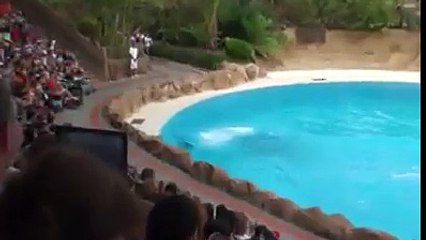 sat samander mein tery pechy pechy aa gai