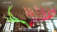生命大跃进1