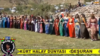 ŞIRNAKLILARIN DÜĞÜNÜ KIRDA ÜÇ AYAK