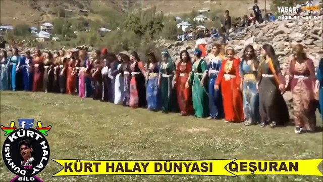 ŞIRNAKLILARIN DÜĞÜNÜ KIRDA ÜÇ AYAK