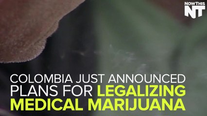 Colombia Is Ready To Legalize Medical Marijuana