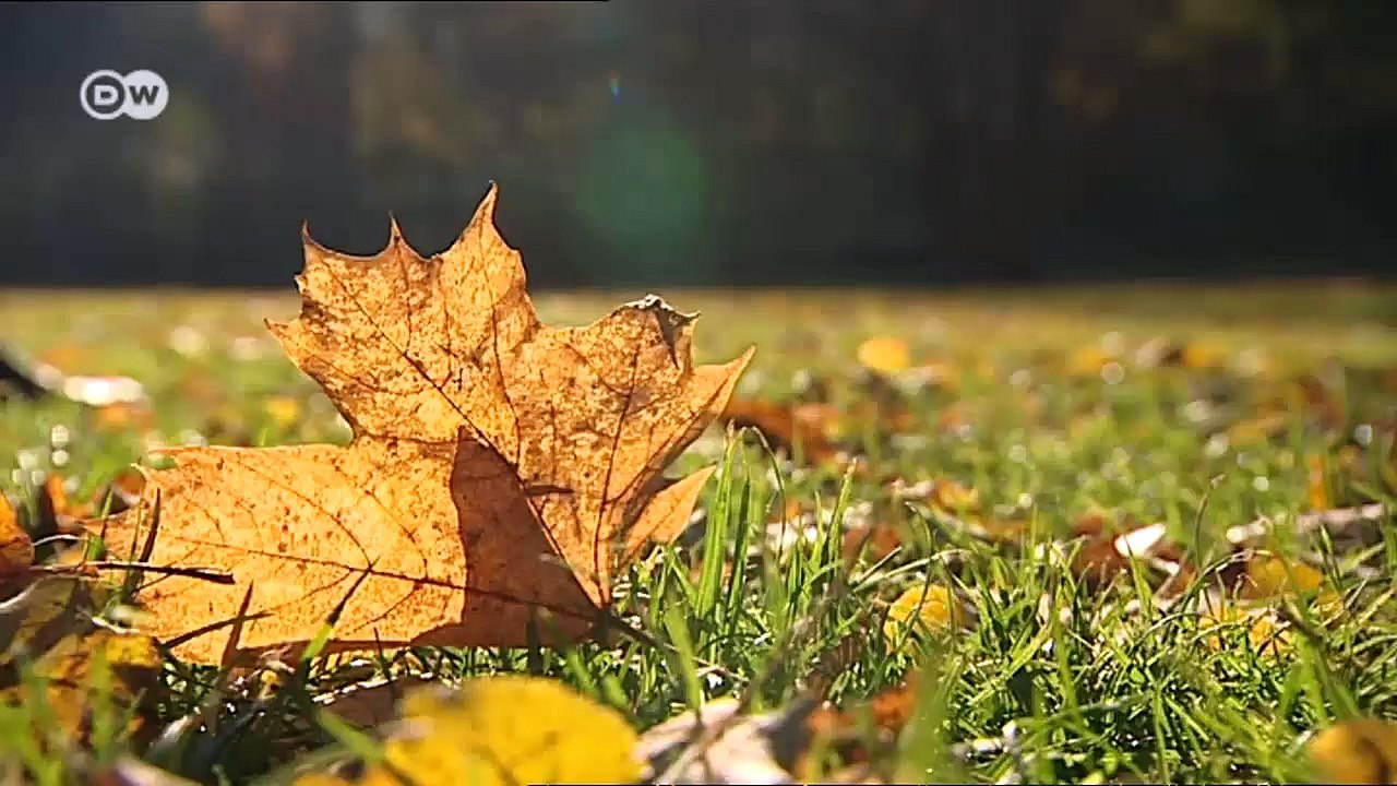 Drei Tipps für Berlin | Hin & weg