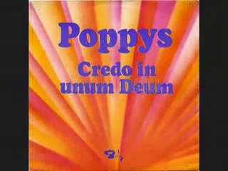 Je n'ai jamais voulu