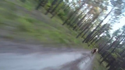 USA:un cycliste se fait courser par un grizzli dans un parc forestier