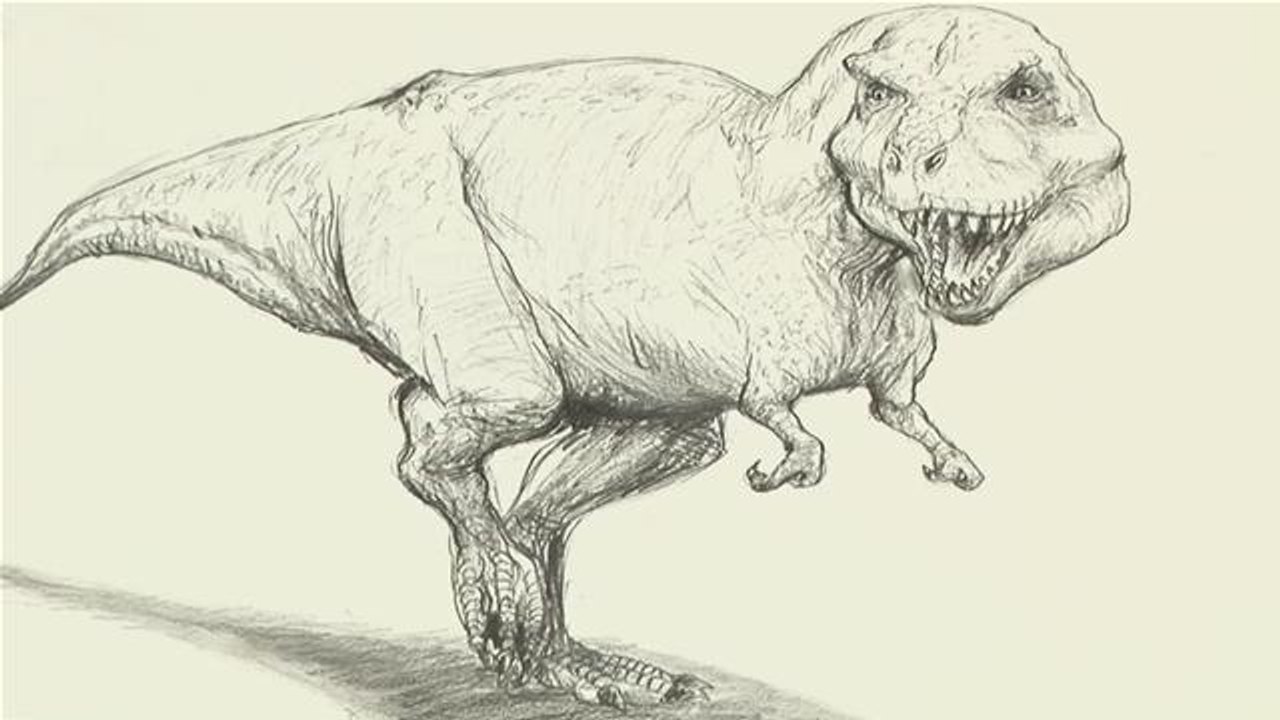 How To Draw A T-Rex