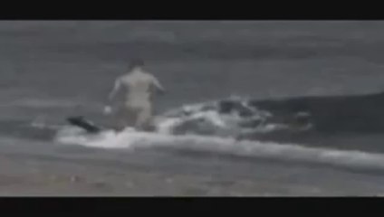 Hungry shark admi ko zinda kha gai