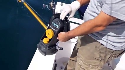 Canlı yemle kral baraküda nasıl yakalanır!!! Muhteşem balık!!!