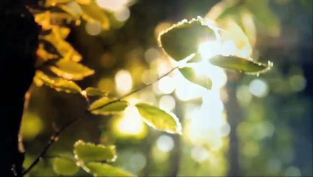 Yıldız Tilbe-Tek Sevenim Sen Olsan