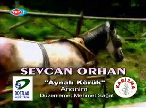 Sevcan Orhan - Aynalı Körük