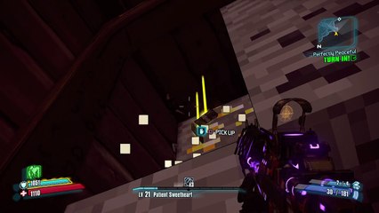 Borderlands 2 |Minecraft|