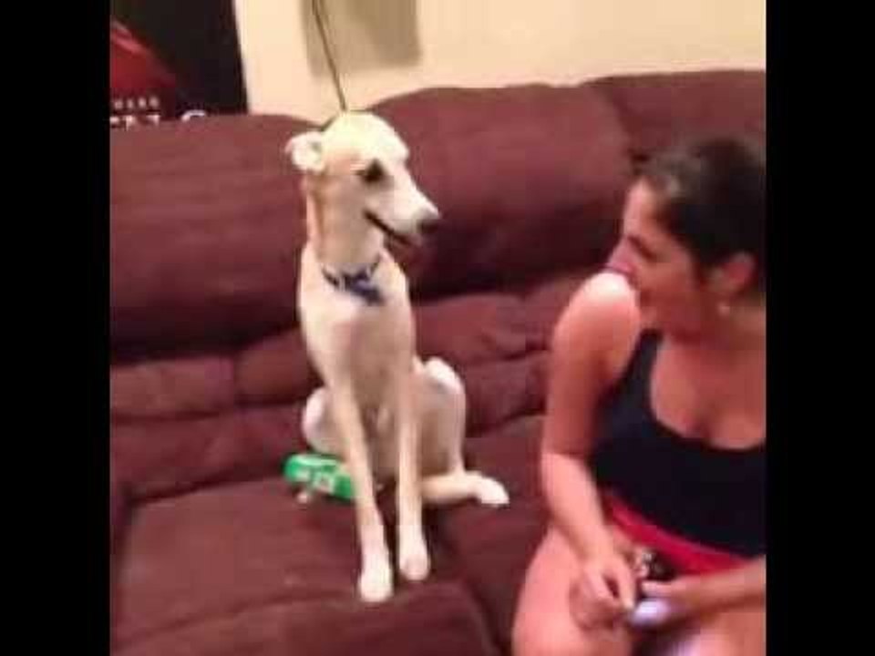 Dog_Laugh_with_Girl_Vine_Funny