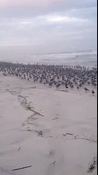 Когда тебя никто не любит