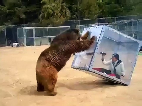 Японский 3D зоопарк. Жесть!