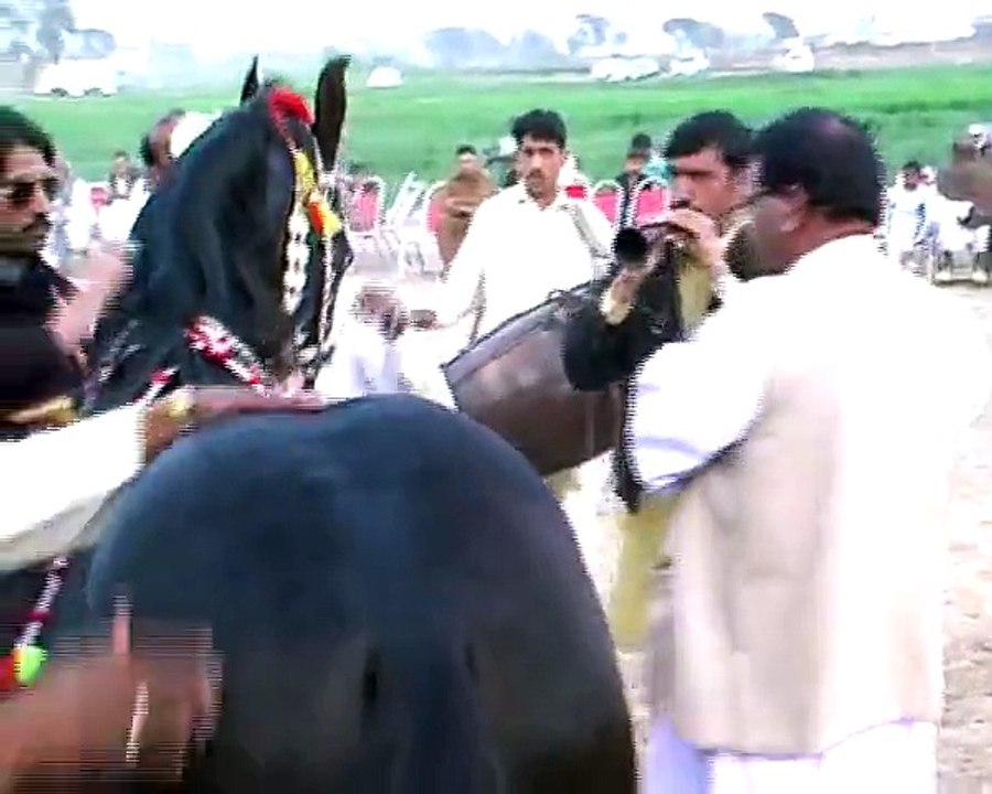 Horse Dancing Maila Sakrila Sarai Alamgir