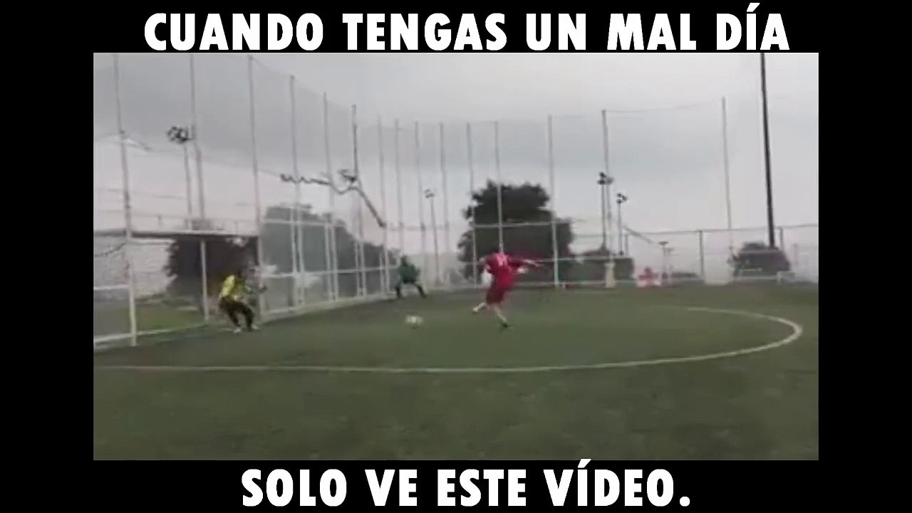 Cuando tengas un mal día, sólo mira este video