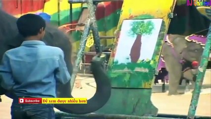 Liên Khúc Nhạc Thiếu Nhi Sôi Động - Các Con Vật Bé Yêu Thích