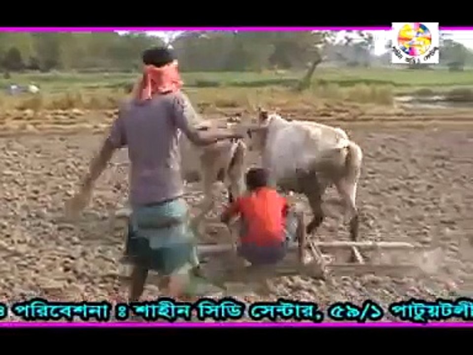 Bengali funny video (Lot of laugh)_Laughing _funny _video