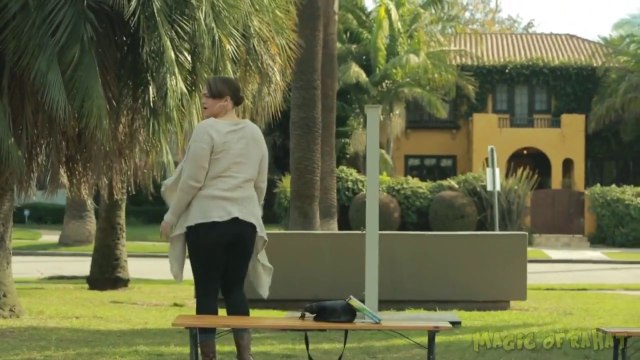 un peu de légèreté et d humour dans ce monde de brutes