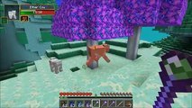 Minecraft_ PARADISE IN THE SKY (FLOATING SKY ISLAND DIMENSION!) Mod Showcase