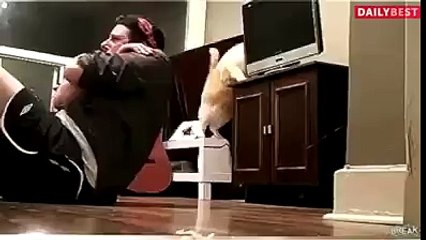 Les chats peuvent tuer des gens ! Preuve vidéo !