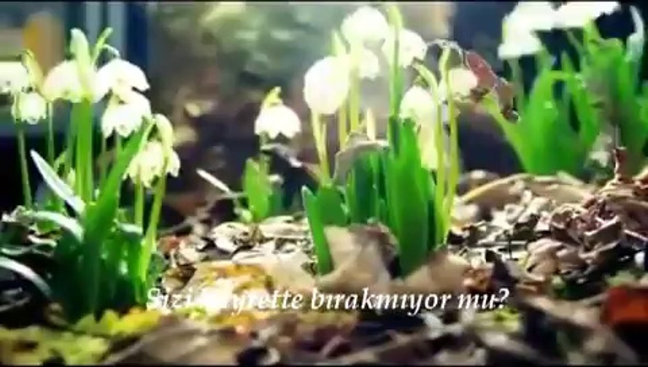 Hayırlı Günler. Sevgilerimle