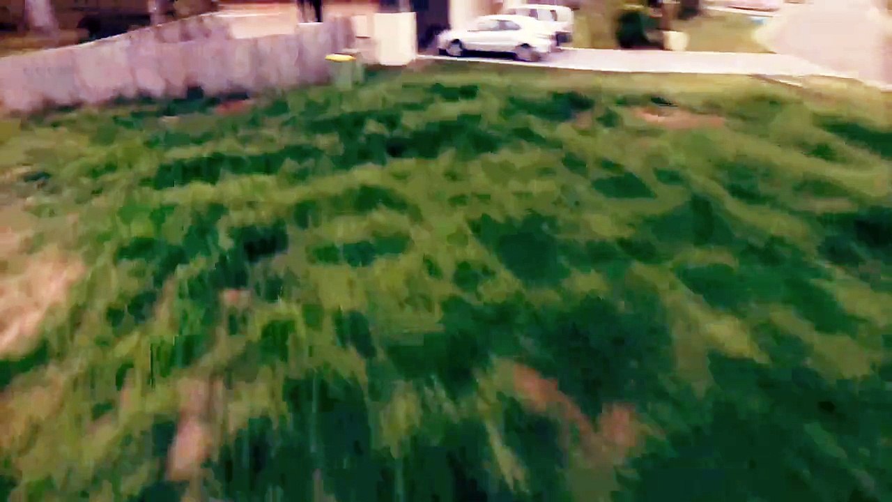 DIRIGIBLE-1 - The Takedown