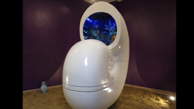 Aquarium WC nautile Des toilettes Design impressionnantes Flush the toilet tank, not the fish !