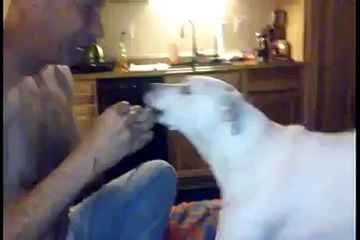 Chien est complètement déconcertés par tour de magie