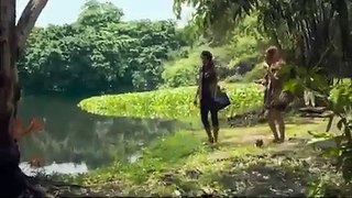 Deadly Alligator Eats a Woman Alive