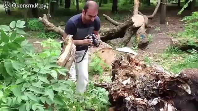 Бомж атакует фотографа