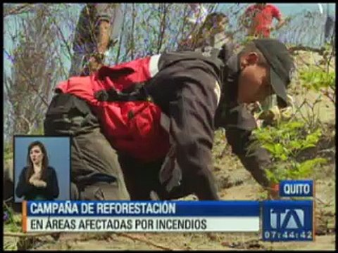 Inicia campaña de reforestación en aéreas afectadas por los incendios
