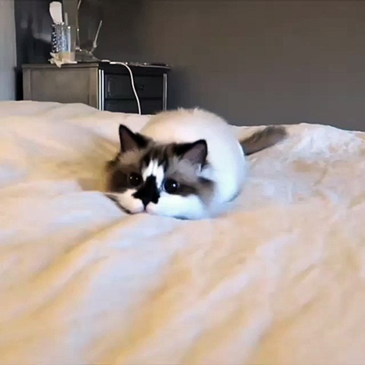 Wiggle, wiggle...