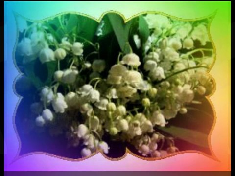 Élysée – Présidence de la République française Entretiens à la suite des attentats de Paris À la suite des attentats