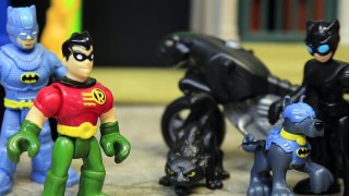 Mountain Batman with Dog Ace and Robin Chase Catwoman and Her Cat Away Toy Review