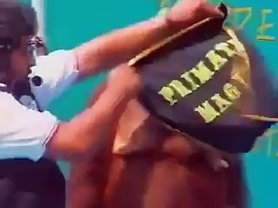 funny videos
