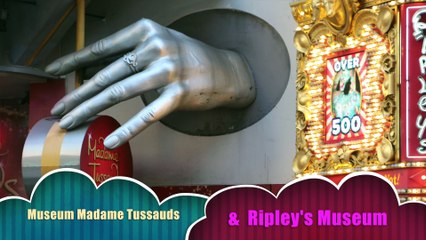 Ripley's Believe It or Not!