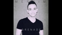 Bruno Mars - Grenade (Cover by Mergim)